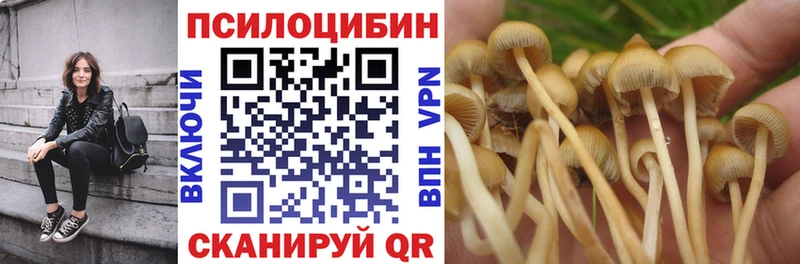 где найти   Светлый  Галлюциногенные грибы Psilocybine cubensis 